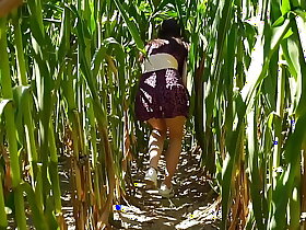Horny BLOWJOB in a corn field